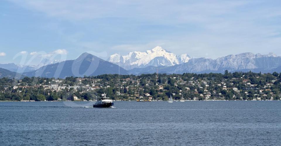 Bellevue