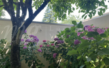 Maison 7 pièces - image - 13