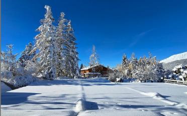 Chalet 8.5 Zimmer - image - 2