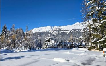 Chalet 8.5 Zimmer - image - 4
