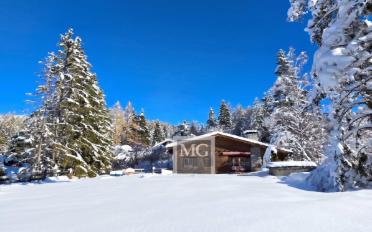 Chalet 8.5 rooms - image - 1