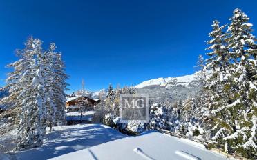 Chalet 8.5 rooms - image - 6