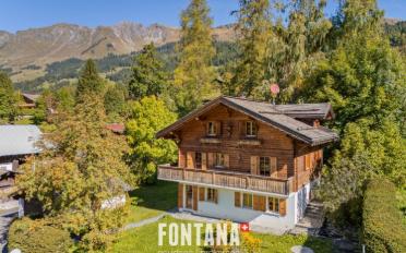Chalet 7 Zimmer - image - 1