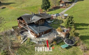 Chalet 6 Zimmer - image - 1