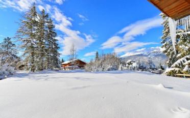 Chalet 8.5 pièces - image - 1