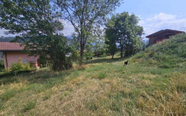 Bauland - image - 2