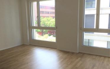 Apartment 2.5 rooms - image - 8