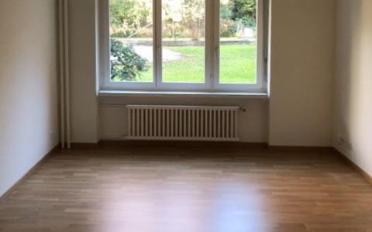 Apartment 1 room - image - 3