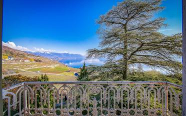 Single house 13 rooms - image - 6