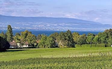 Single house 10 rooms - image - 1