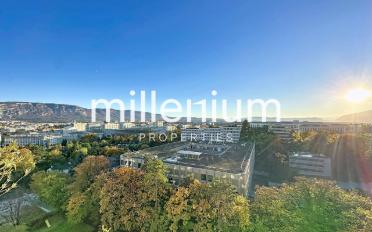 Wohnung 2.5 Zimmer - image - 1