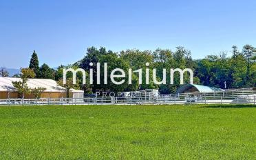 Wohnung 5 Zimmer - image - 2