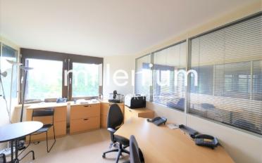 Office 1 room - image - 6