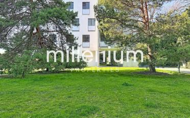 Appartement 4 pièces - image - 12