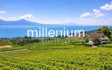 Apartment 3.5 rooms - image - 1