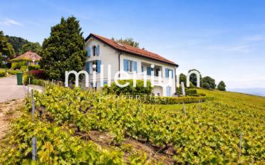 Apartment 3.5 rooms - image - 2