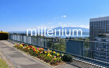 Appartement 5.5 pièces - image - 3