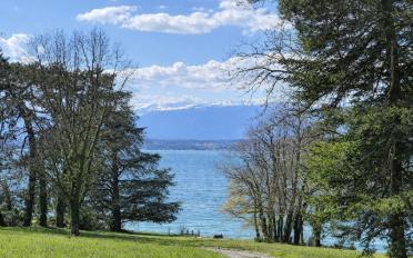 Einfamilienhaus 7 Zimmer - image - 1