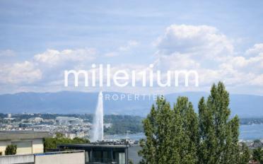 Wohnung 5 Zimmer - image - 2