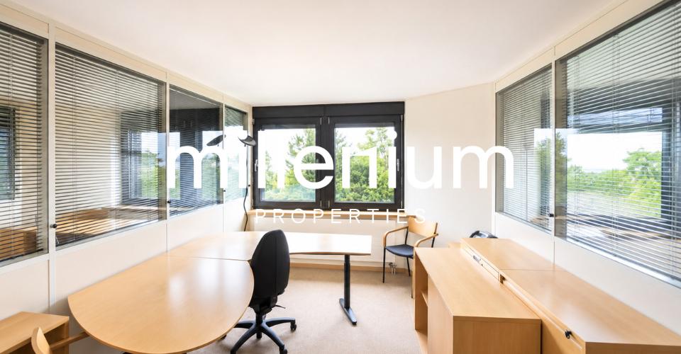 Mies