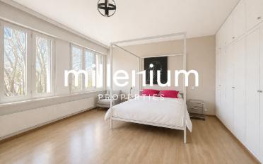 Single house 7 rooms - image - 8