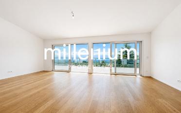 Single house 12 rooms - image - 3