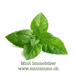Mint Immobilier
