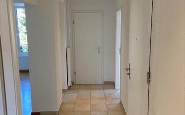 Wohnung 3.5 Zimmer - image - 3