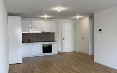 Apartment 2.5 rooms - image - 4