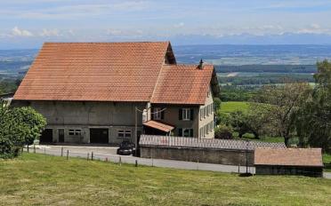 Single house - image - 1