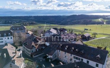 Loft 4.5 Zimmer - image - 9