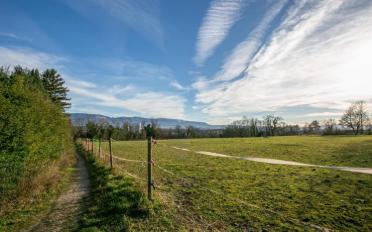 Building land - image - 8