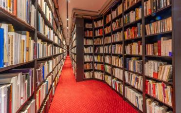 Einfamilienhaus 12 Zimmer - image - 9