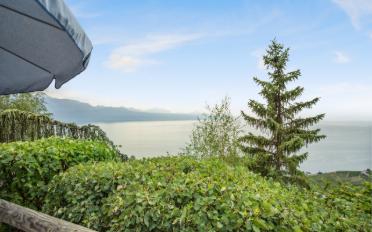 Einfamilienhaus 4.5 Zimmer - image - 1