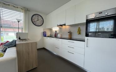 Furnished flat 2.5 rooms - image - 3