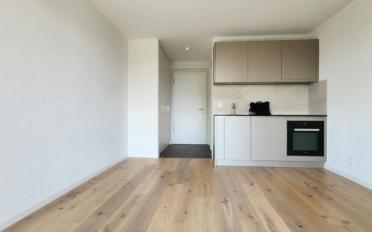 Appartement 1 pièce - image - 3