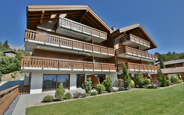 Wohnung 2.5 Zimmer - image - 1