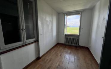 Wohnung 4.5 Zimmer - image - 8