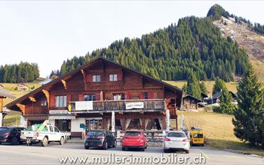 Chalet 8 Zimmer - image - 1