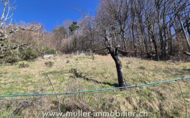 Chalet 5.5 Zimmer - image - 9