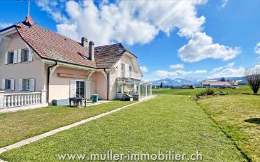 Single house 12 rooms - image - 2