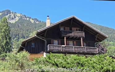 Chalet 8.5 Zimmer - image - 12