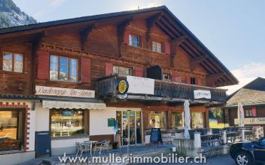 Chalet 11 rooms - image - 10
