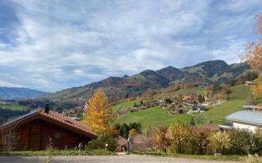 Building land - image - 1