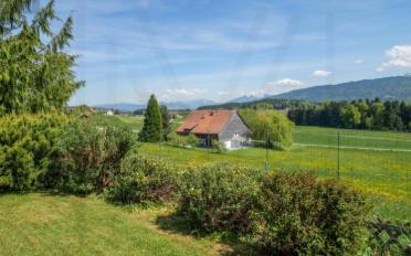 Single house 5 rooms - image - 13