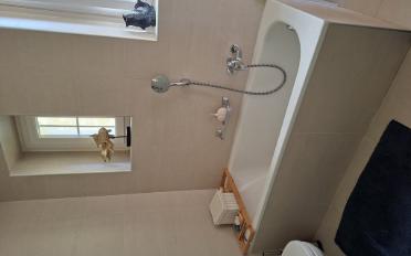 Apartment 5.5 rooms - image - 5