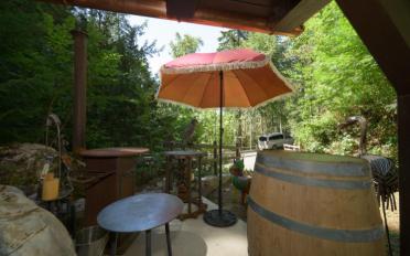 Chalet 1 pièce - image - 8