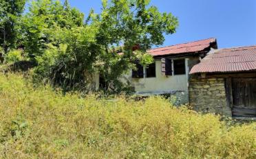 Single house 3 rooms - image - 2