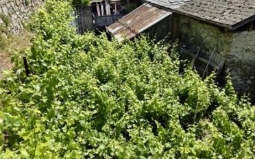 Single house - image - 4