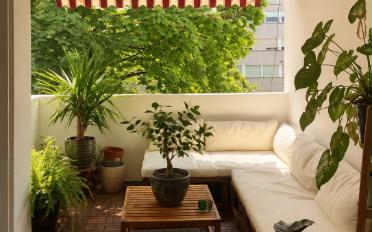 Apartment - image - 6
